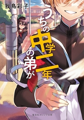 うちの中学二年の弟が うちの中学二年の弟が