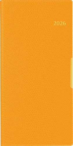 2026ǯ Ģ 1Ϥޤ No.161 T'slim (ƥ)[]ⶶŹ ĢȽޥ󥹥꡼[9784471851613]