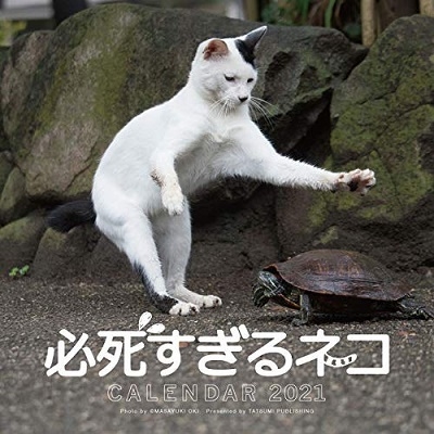 2021必死すぎるネコ カレンダー 2021必死すぎるネコ カレンダー