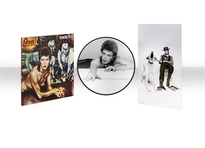 David Bowie/Diamond Dogs (50th Anniversary)＜限定盤/Picture Vinyl＞