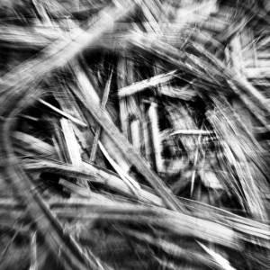 TOWER RECORDS ONLINE㤨Hubble (Techno/Reverse Utopiaס[SICCD001]פβǤʤ2,490ߤˤʤޤ