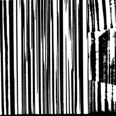 The Dead C/Harsh 70's Reality[SB1112]