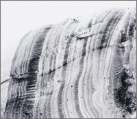 海辺より 海辺より