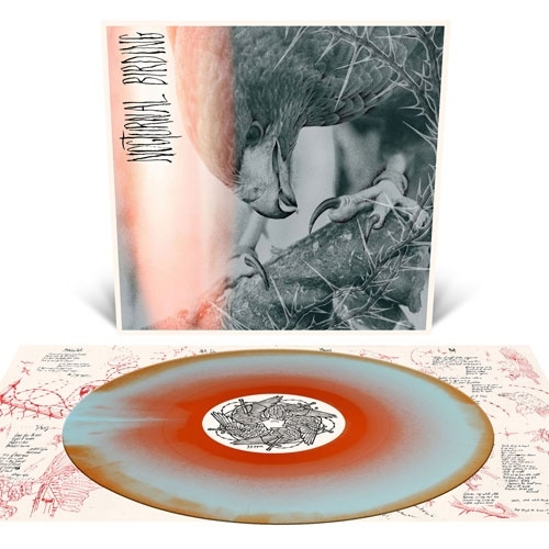 Author &Punisher/Nocturnal BirdingCustom Merge Vinyl[RR75941]