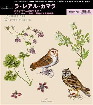 Boccherini: La Bona Notte Boccherini: La Bona Notte