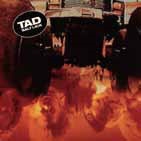 Tad/SALT LICK (DELUXE EDITION)[SPCD-1178J]