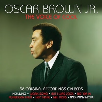 Voice Of Cool