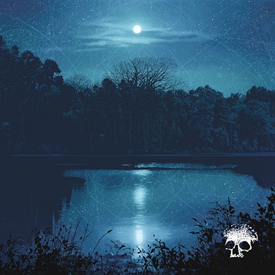 Do You Still Love Me? (Indie Retail Exclusive)＜限定盤/Blue / Black Galaxy Vinyl＞