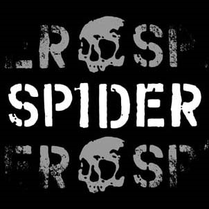 TOWER RECORDS ONLINE㤨Spider (Punk/Energy Gone Wrong[SPDR666]פβǤʤ2,490ߤˤʤޤ