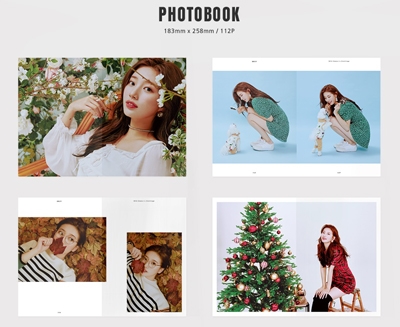 Suzy (Miss A)/SUZY 2019 SEASON'S GREETINGS ［CALENDAR+GOODS］