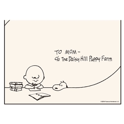 Snoopy Study Series ランチクロス チャーリー ブラウン スヌーピー