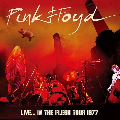 pink floyd tour 1977