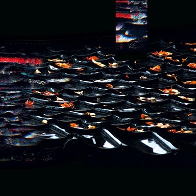 Sabi<Transparent Orange Cloudy Vinyl> Sabi<Transparent Orange Cloudy Vinyl>