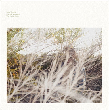 A Hand Through The Cellar Door＜限定生産＞