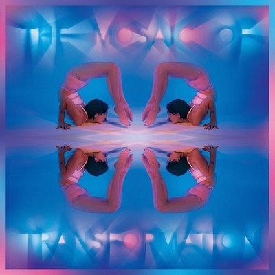 The Mosaic of Transformation＜Black Vinyl＞