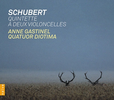 Schubert: String Quintet Op.163 D.956