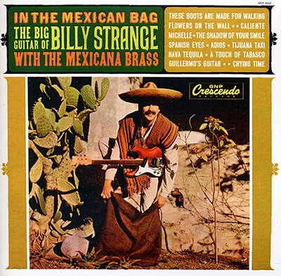 In the Mexican Bag