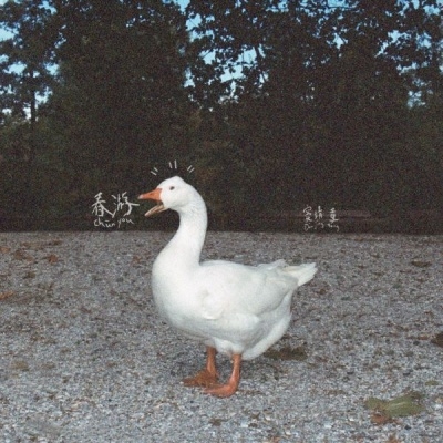 春遊: Spring Tour＜数量限定盤＞