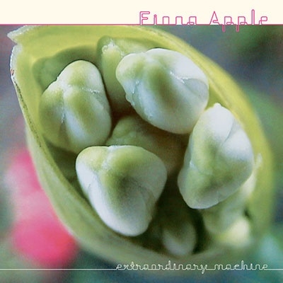 Fiona Apple/Extraordinary Machine㴰ס[19658830271]