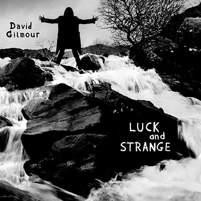 David Gilmour/Luck and Strange＜完全生産限定盤/Translucent Sea Blue Vinyl＞