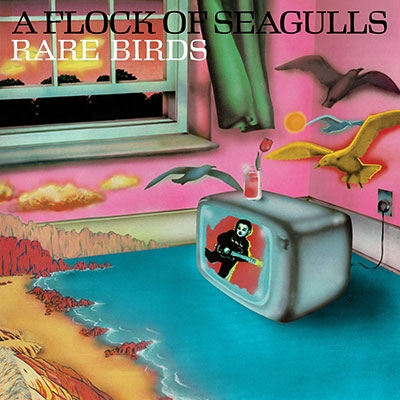 A Flock Of Seagulls/Rare Birds - A 'Flock Of Seagulls' B-Sides, Edits And Alternate MixesRECORD STORE DAYоݾʡ[5053888061]