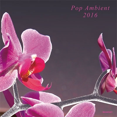 POP AMBIENT 2016 POP AMBIENT 2016
