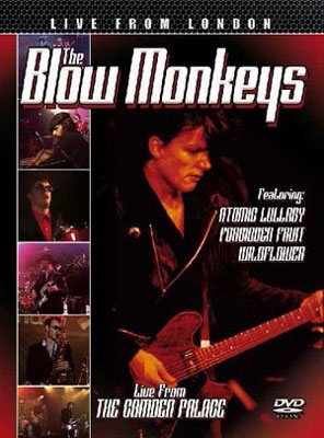 Blow Monkeys/Live From London