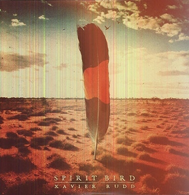 Spirit Bird