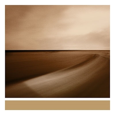 Brian Eno/Small Craft On A Milk Seaס[WARPLP207R]