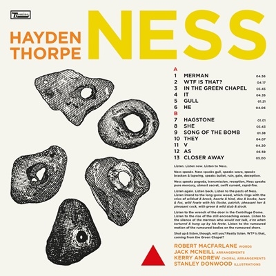 Hayden Thorpe/Ness[WIGLP516]