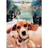 ビーグル犬 シャイロ 特別版