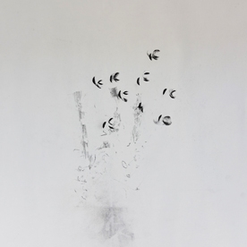 Skin Tones Skin Tones