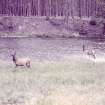 Ghost + Acoustic Sessions