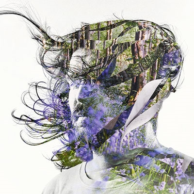 クラブ+ダンス Bibio - Ribbons (Purple Vinyl) Bibio/Ribbons (Purple Vinyl)＜限定盤＞