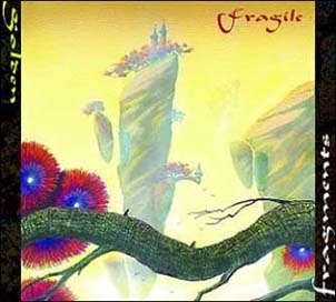Fragile (Rock)/Golden Fragments[FTPCD2021]