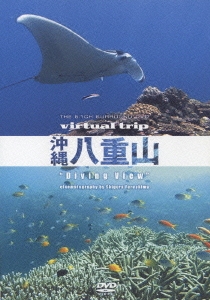 virtual trip 沖縄八重山 diving view