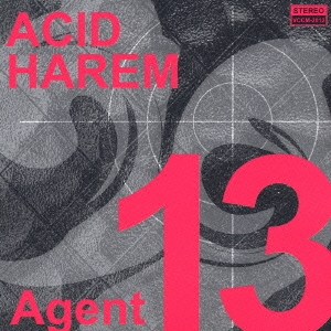 AGENT 13