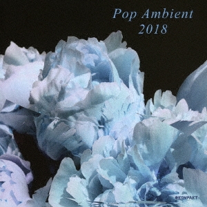 POP AMBIENT 2018