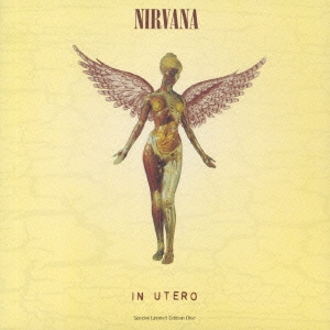 Nirvana/In Utero (30th Anniversary)(Super Deluxe Edition)