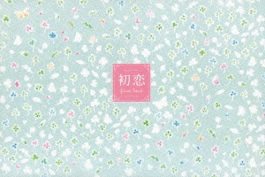 初恋 コンプリートDVD-BOX