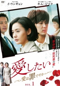 愛したい～愛は罪ですか～ DVD-BOX1