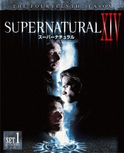SUPERNATURAL XIV スーパーナチュラル ＜フォーティーン＞ 前半セット DVD