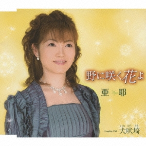 野に咲く花よ / 犬吠崎