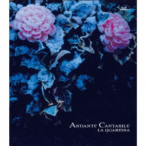 アンダンテ・カンタービレ 4本のチェロのための作品集IV