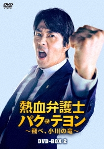 熱血弁護士 パク・テヨン ～飛べ、小川の竜～ DVD-BOX2
