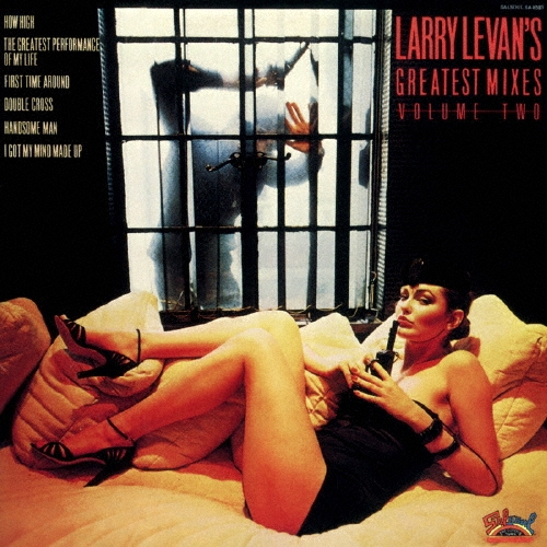 ラリー・レヴァンズ・グレイテスト・ミキシーズ VOL.2 +13