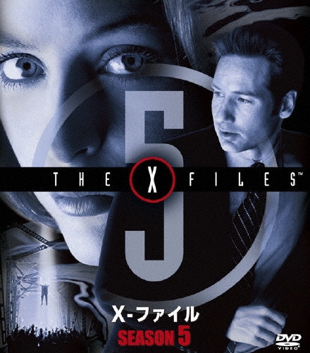 ǥåɡɥˡ/X-ե 5 SEASONSѥȡܥå[FXBJE-23032]