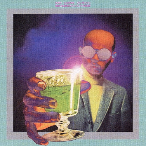 DEV LARGEプレゼンツ病める無限のインストの世界 [CCCD]