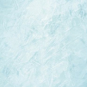 TOWER RECORDS ONLINE㤨A.N.R.i./All Noises Regenerates Interaction[SRCD-039]פβǤʤ2,200ߤˤʤޤ