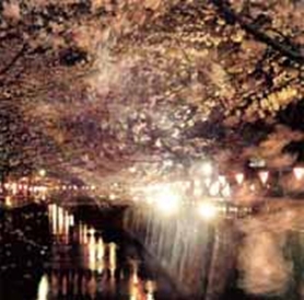 エンジョイ・ザ・サイレンス 2 エンジョイ・ザ・サイレンス 2